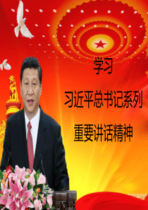 习总书记系列重要讲话精神学习