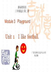 外研版三起 第二册MODULE 3 UNIT1 I like football.