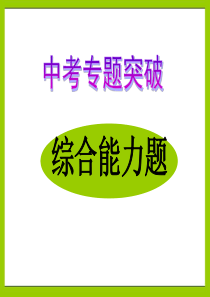 2010年中考物理总复习课件专题突破篇综合能力题