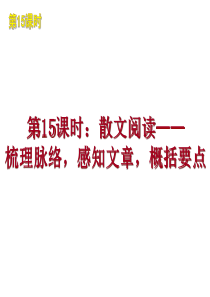 2010年中考语文二轮复习课件15：散文阅读之概括要点篇