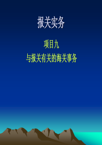 40项目九 与报关相关的海关事务