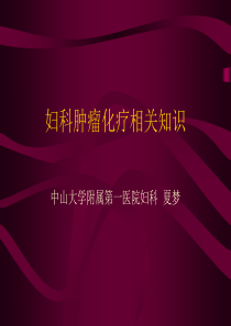 9.24妇科肿瘤化疗相关知识