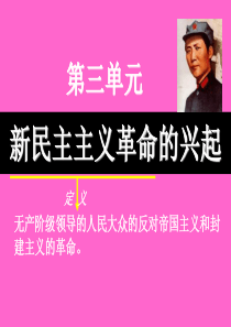 八年级历史五四运动与中国共产党的成立2