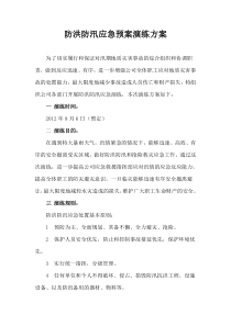 1111矿业防洪防汛应急预案演练活动方案