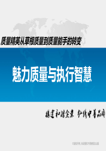 全员质量提案改善与推广技术【吴建平】