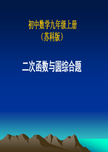 二次函数与圆综合题 (1)