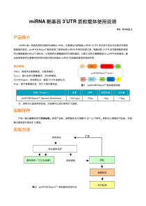 miRNA-靶基因3’UTR-质粒载体使用说明