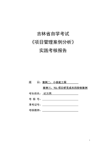 项目管理案例分析实践报告