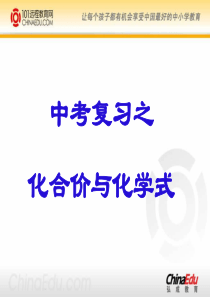 2012年中考化学复习――化合价与化学式复习课件 - 副本