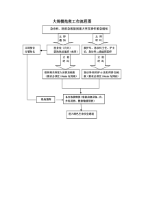 大规模抢救工作流程图