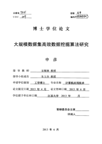 大规模数据集高效数据挖掘算法研究