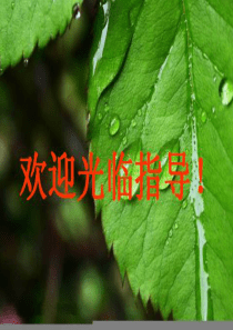 公开课《故宫博物院》