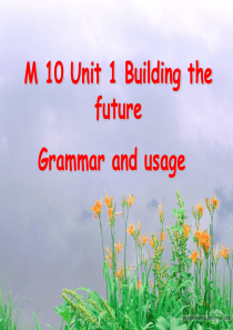 module 10 unit 1 Grammar and usage (公开课)