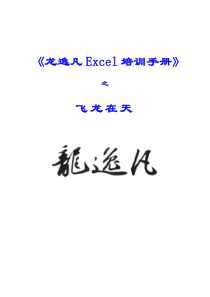 龙逸凡Excel培训手册》之飞龙在天