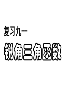 中考数学复习锐角三角函数2[人教版]