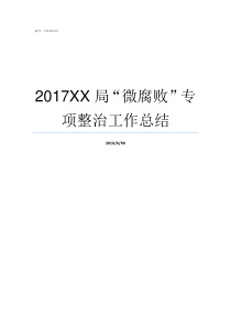 2017XX局微腐败专项整治工作总结