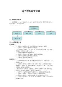 电子商务运营方案