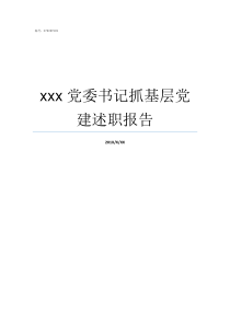 xxx党委书记抓基层党建述职报告