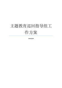 主题教育巡回指导组工作方案组工工作主题发言主题教育巡回指导方案