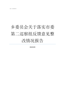 乡委员会关于落实市委第二巡察组反馈意见整改情况报告