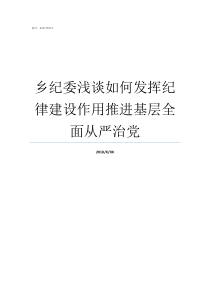 乡纪委浅谈如何发挥纪律建设作用推进基层全面从严治党纪检监察网