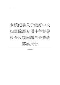 乡镇纪委关于做好中央扫黑除恶专项斗争督导检查反馈问题自查整改落实报告乡镇纪检专职副书记