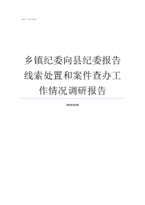 乡镇纪委向县纪委报告线索处置和案件查办工作情况调研报告乡镇纪检监察