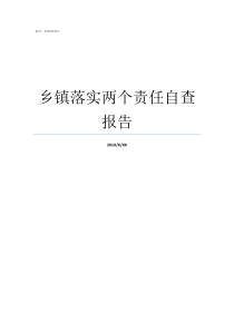 乡镇落实两个责任自查报告乡镇怎样落实属地管理责任