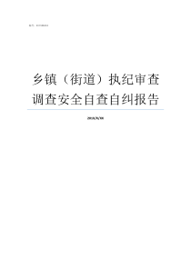 乡镇街道执纪审查调查安全自查自纠报告执纪审查安全