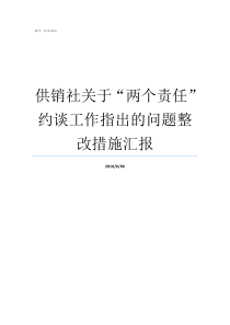 供销社关于两个责任约谈工作指出的问题整改措施汇报