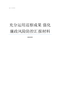 充分运用巡察成果nbsp强化廉政风险防控汇报材料巡察成果运用要