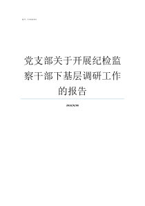 党支部关于开展纪检监察干部下基层调研工作的报告党支部不设纪检委员