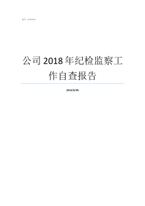 公司2018年纪检监察工作自查报告