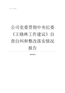 公司党委贯彻中央纪委王晓林工作建议自查自纠和整改落实情况报告各级党委和政府要贯彻党的