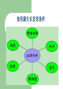 食用菌生长发育条件