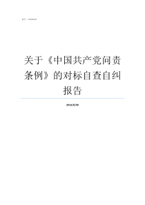 关于中国共产党问责条例的对标自查自纠报告