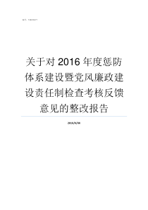 关于对2016年度惩防体系建设暨党风廉政建设责任制检查考核反馈意见的整改报告什么惩