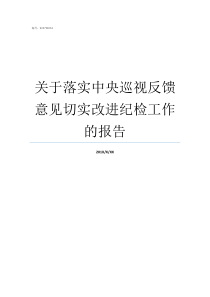 关于落实中央巡视反馈意见切实改进纪检工作的报告