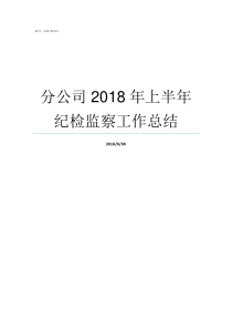 分公司2018年上半年纪检监察工作总结2018年注册的公司