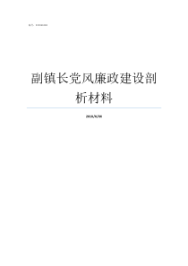 副镇长党风廉政建设剖析材料