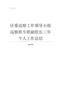 区委巡察工作领导小组巡察组专职副组长三年个人工作总结巡察领导小组是哪些人