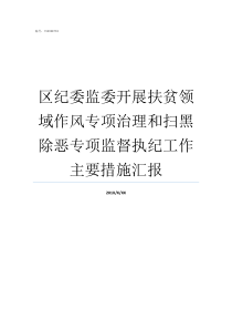 区纪委监委开展扶贫领域作风专项治理和扫黑除恶专项监督执纪工作主要措施汇报纪检委和纪检委