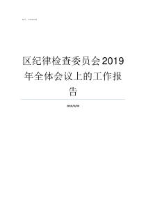 区纪律检查委员会2019年全体会议上的工作报告广西区纪律检查委员会