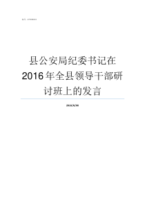 县公安局纪委书记在2016年全县领导干部研讨班上的发言