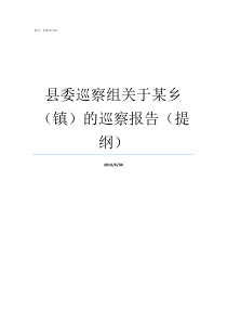 县委巡察组关于某乡镇的巡察报告提纲县委巡察组