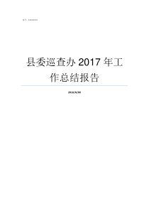 县委巡查办2017年工作总结报告