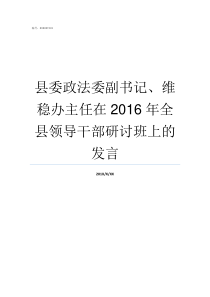 县委政法委副书记维稳办主任在2016年全县领导干部研讨班上的发言县级政法委常务副书记