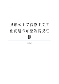 县形式主义官僚主义突出问题专项整治情况汇报集中整治形式主义官僚主义