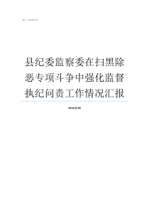 县纪委监察委在扫黑除恶专项斗争中强化监督执纪问责工作情况汇报