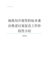 地税局开展坚持标本兼治推进以案促改工作阶段性小结